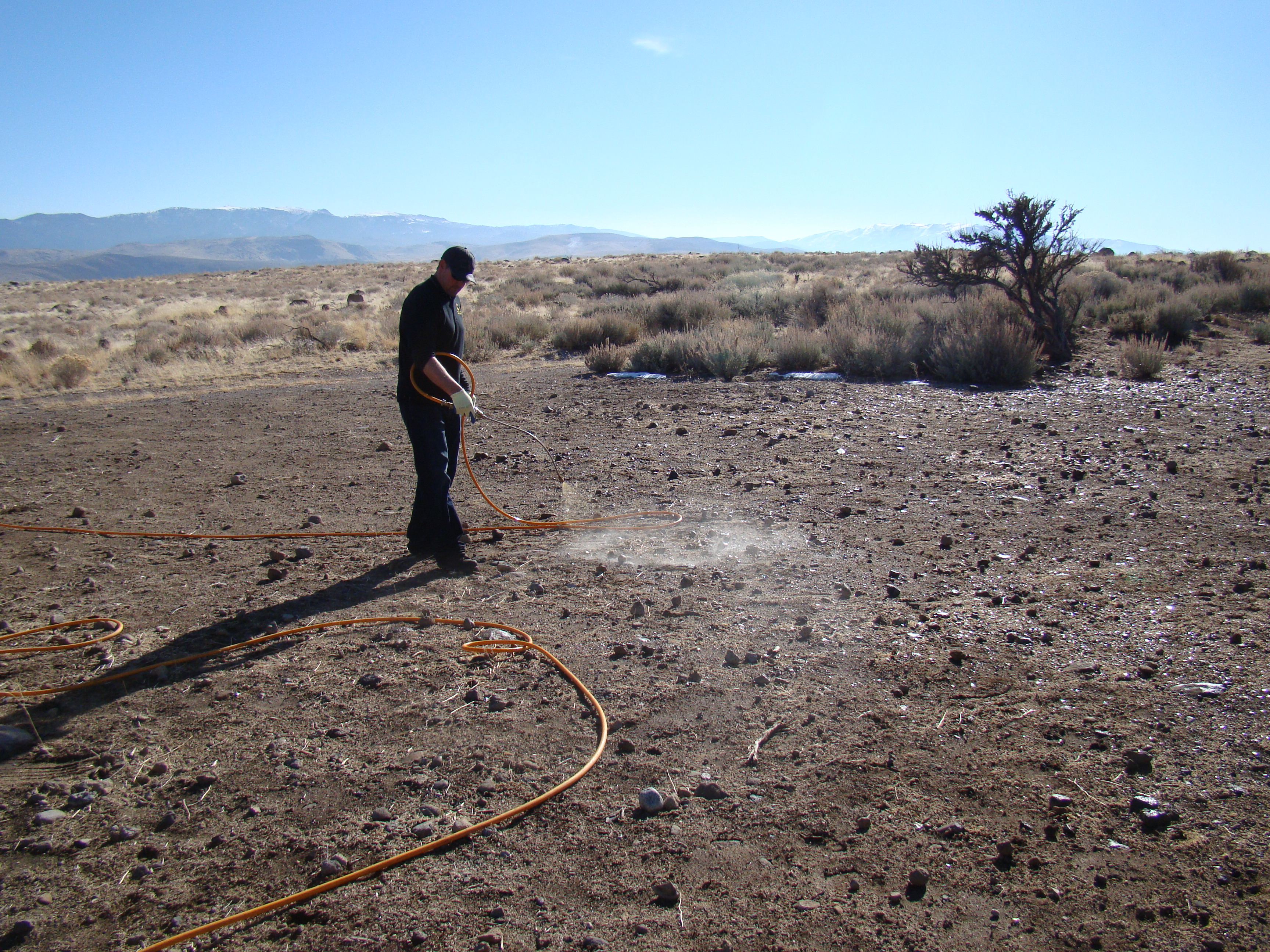Spraying for weeds Progressive Pest Management