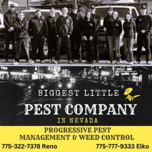 Biggest Little Pest Company in Nevada