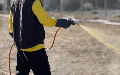 Noxious Weeds in Northern Nevada
