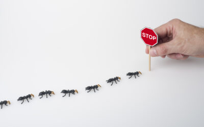 When Summer Heat Rises in Northern Nevada, So Do the Unwanted Pests